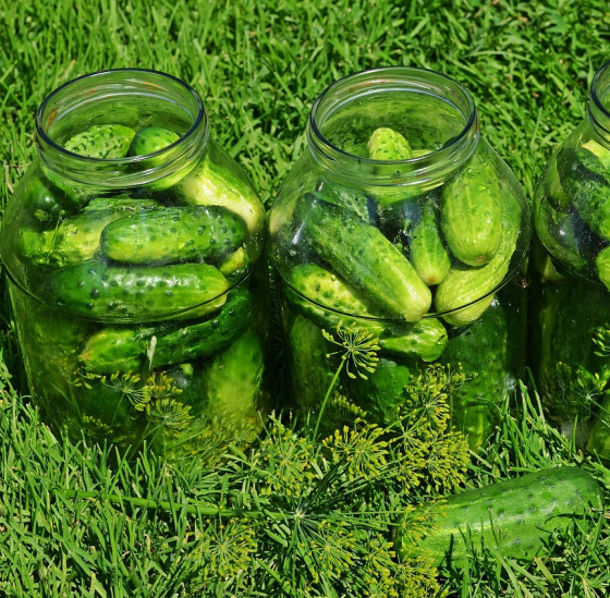 pickle spears garlic
